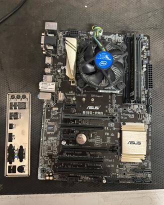 Scheda madre Asus prime B150 cpu i5-6700 ddr4 8gb