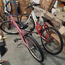 Mountain bike dai 12 ai 15 anni