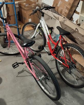 Mountain bike dai 12 ai 15 anni