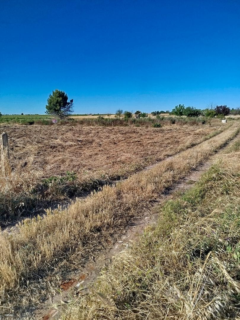 Terreno Agricolo - Vista 4