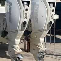 Coppia fuoribordo 2x300 evinrude - idock