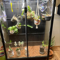 IKEA rudsta greenhouse