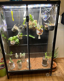 IKEA rudsta greenhouse