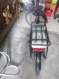 bicicletta elettrica 