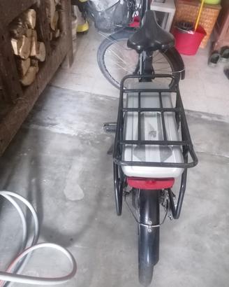 bicicletta elettrica 