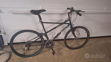 Bianchi Thomisus 