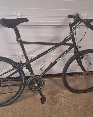 Bianchi Thomisus 