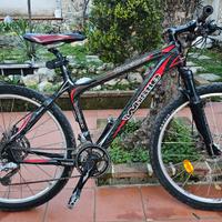 Bicicletta in carbonio