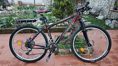 Bicicletta in carbonio