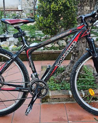 Bicicletta in carbonio