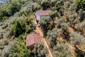 Casolare da ristrutturare zona nievole