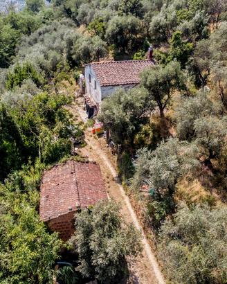 Casolare da ristrutturare zona nievole