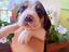 Immagine 1