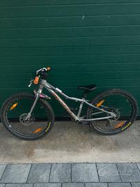Scott rorter tg 24