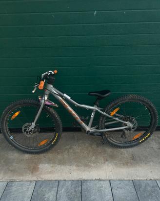 Scott rorter tg 24