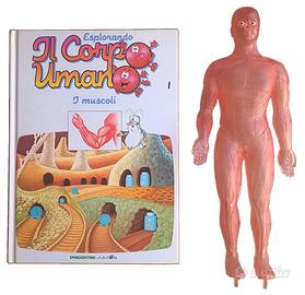 Il Corpo Umano n°1 I muscoli + modellino uomo