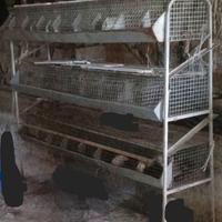 Gabbia da svezzamento per conigli,quaglie,pulcini,