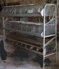 Gabbia da svezzamento per conigli,quaglie,pulcini,