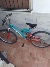 Bici da ragazzo