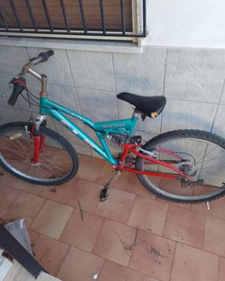 Bici da ragazzo