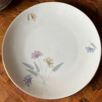 Set piatti dessert vintage porcellana Bohemia