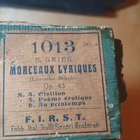 rullo sonoro traforato