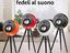 Immagine 2