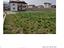 Immagine 21