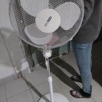 Ventilatore a piantana