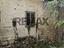 Immagine 24