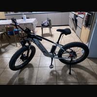 Bicicletta elettrica duotts