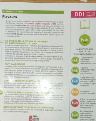 Rizzoli flavour  english 