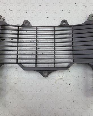 PROTEZIONE RADIATORE YAMAHA XT660R 2004 2016 XT 66