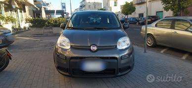 Fiat Panda 1.0 FireFly Hybrid City Life 2022 USATO