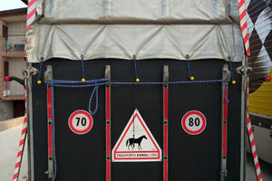 Come da titolo trailer a due posti silver XL