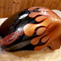 Ricambi Triumph Speed e Daytona 955i