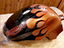 Immagine 1