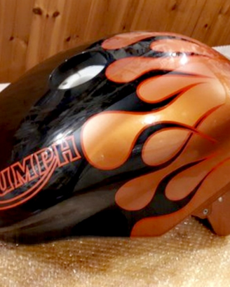 Ricambi Triumph Speed e Daytona 955i