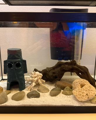 Acquario