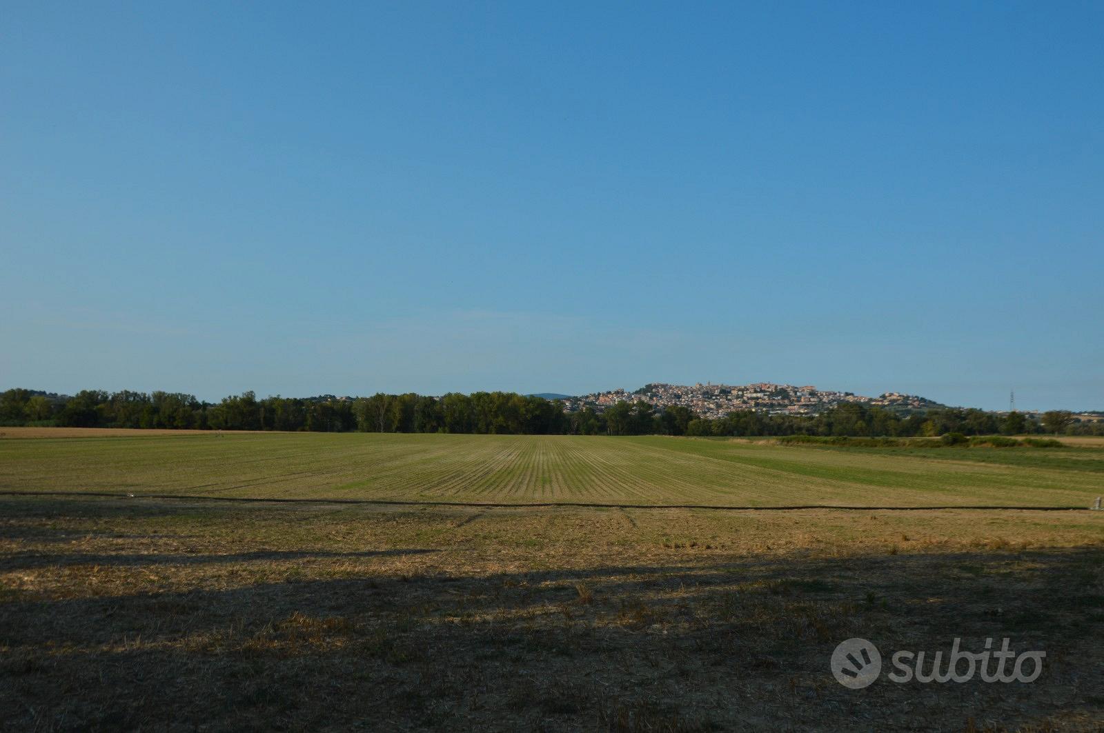 Terreno agricolo cod. N.828 - Vista 2
