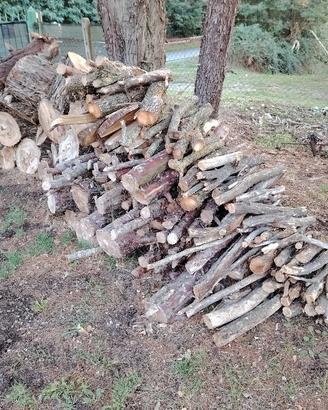 Legna da ardere in pino e Castagno 