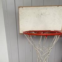 Canestro e pallone basket 