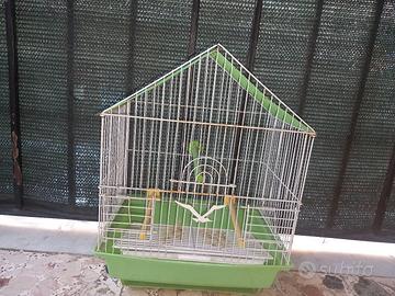 gabbia per uccellini 