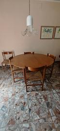 tavolo teak con sedie 