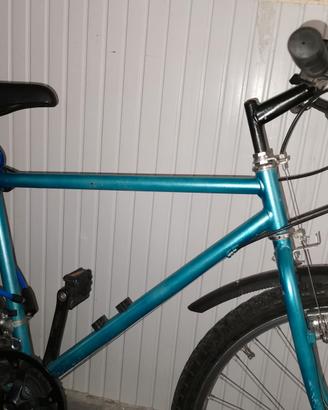 Bici rragazo