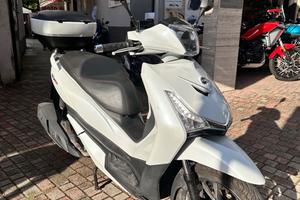 Sym HD 300