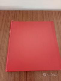 raccoglitore a taschine San Marino 