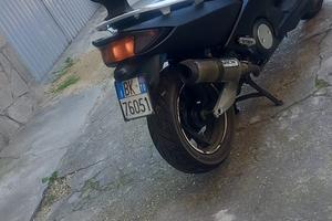Tmax 500