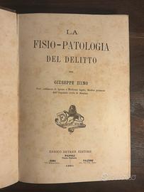 Giuseppe Ziino-La fisio-patologia del delitto-1881