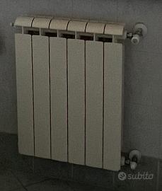 Radiatori in Alluminio